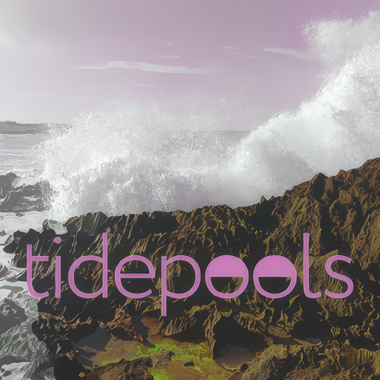 Tidepools